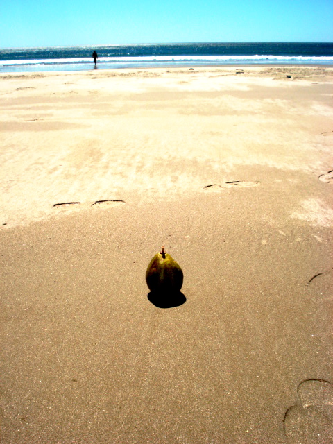 Pear on Playa Coco