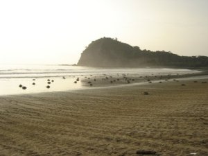 n524435703_4908817_8306